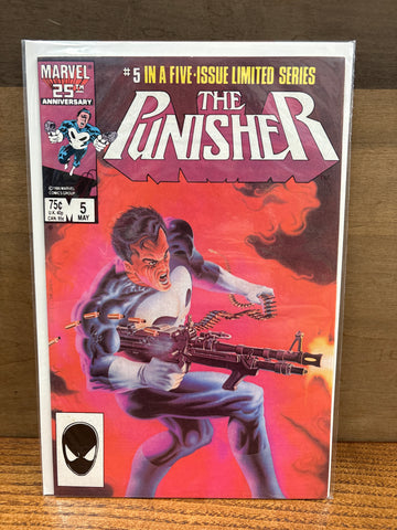 Punisher #5