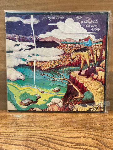 A New Life: The Marshall Tucker Band