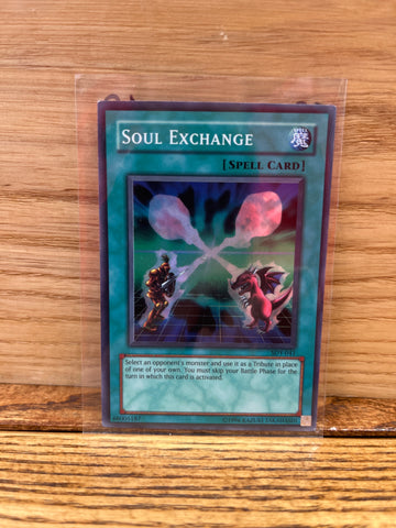 Soul Exchange