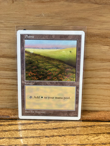 Plains(Pat Morrissey)