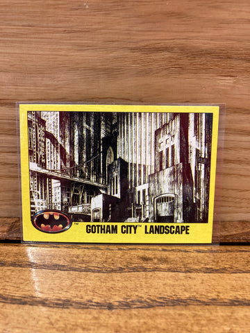 Gotham City Landscape #164