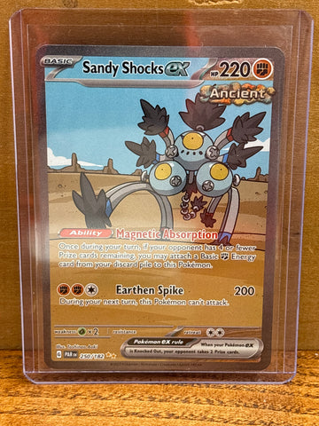 Sandy Shocks(SIR)