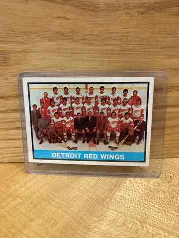 Detroit Red Wings Team Photo(1975) O Pee Chee #87