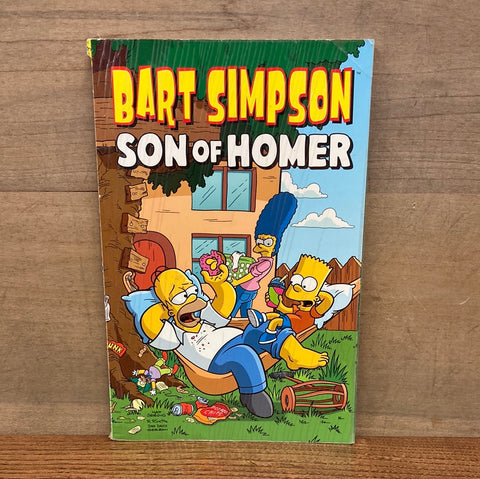 Bart Simpson Son of Homer