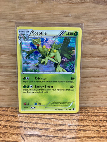 Sceptile(Holo)