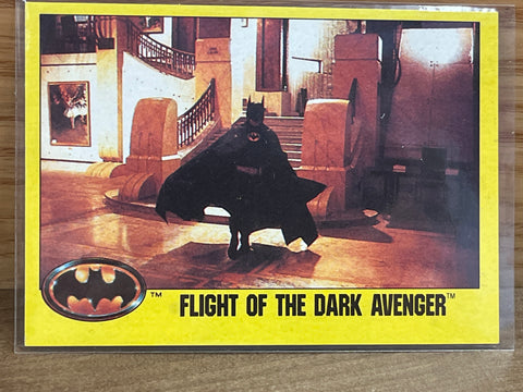 Flight of The Dark Avenger #243