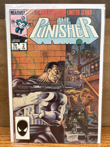 Punisher #2