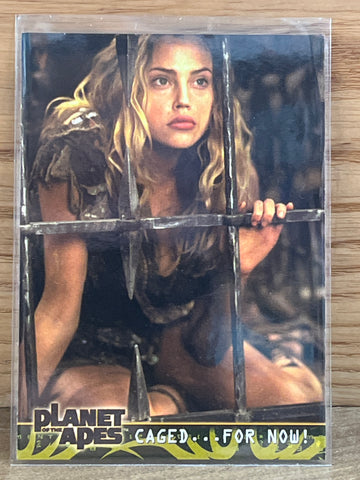 Caged...For Now #31