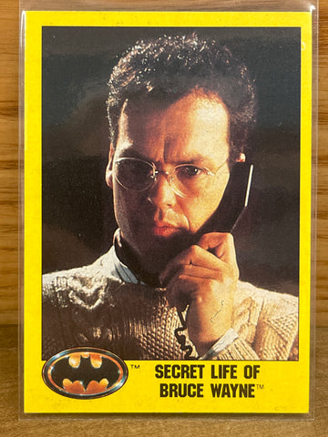 Secret Life of Bruce Wayne #252