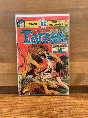 Tarzan #240