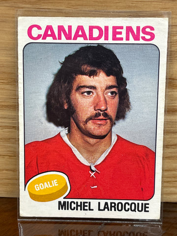 Michel Larocque(1975/76)OPeeChee #362