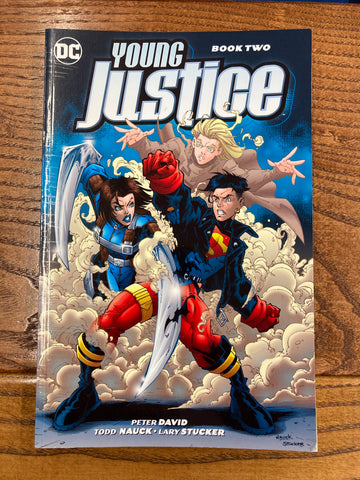 Young Justice: Book Two
