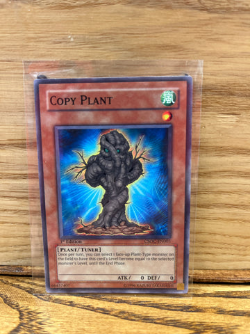 Copy Plant(1st Edition)