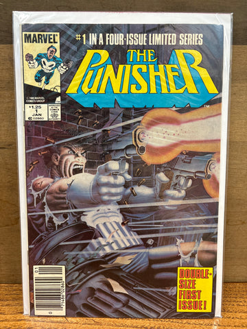 Punisher #1
