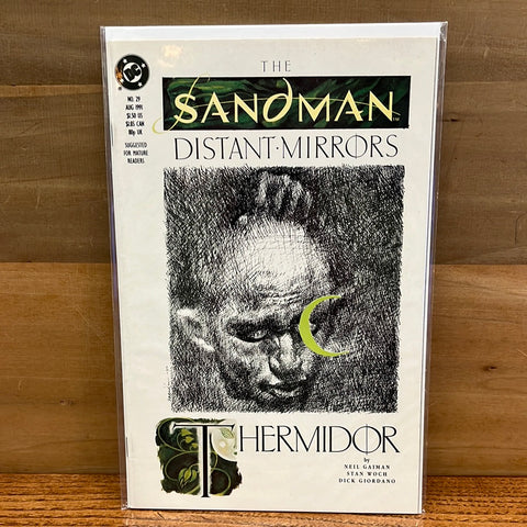 Sandman #29