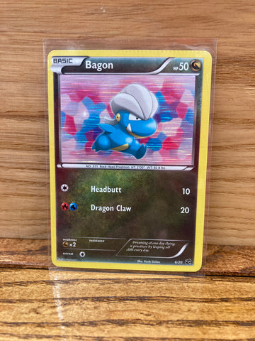 Bagon(Holo)