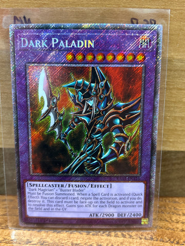 Dark Paladin