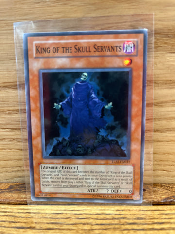 King of the Skull Servants