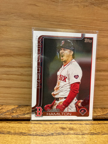 David Hamilton(2025) Topps S1 #199