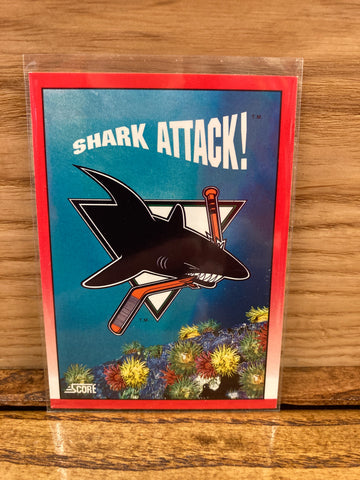 San Jose Sharks(1991) Score #304