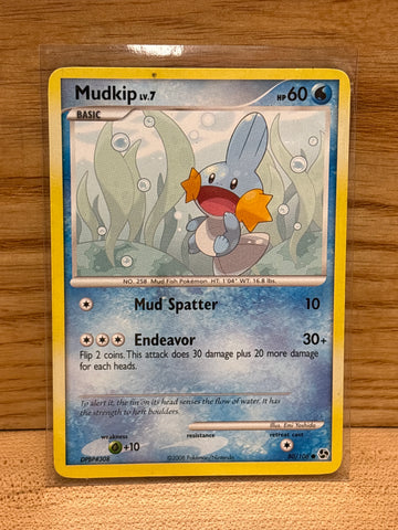 Mudkip