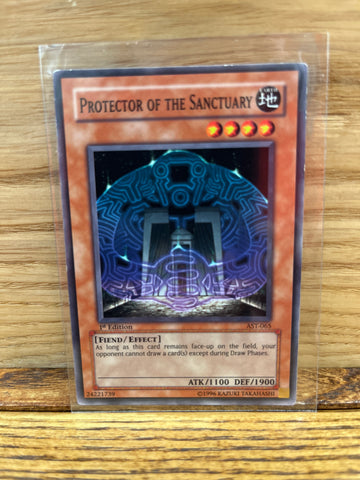 Protector of the Sanctuary