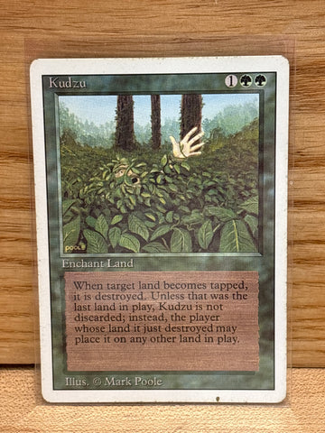 Kudzu(Revised)