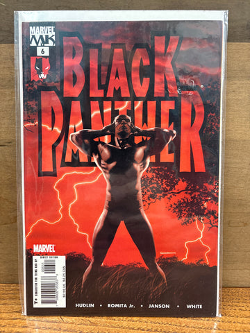 Black Panther #6