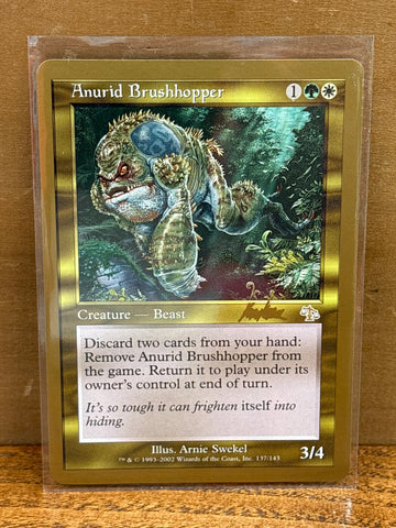 Anurid Brushhopper(Brian Kibler)