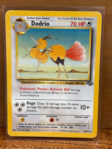 Dodrio