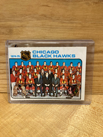 Chicago Blackhawks Team Photo(1975) O Pee Chee #84