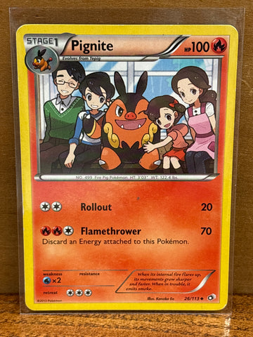 Pignite