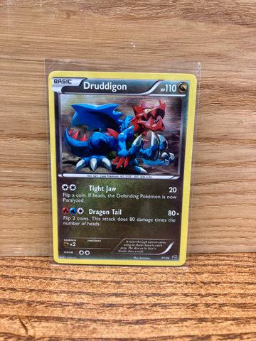 Druddigon(Holo)