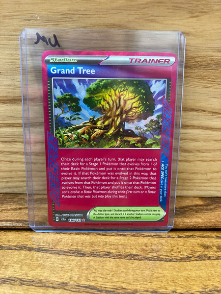 Grand Tree( Ace Spec) The Frugal Dutchman Grand Tree( Ace Spec) The Frugal Dutchman
