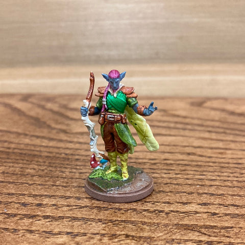 Firbolg Ranger/Fighter/Druid