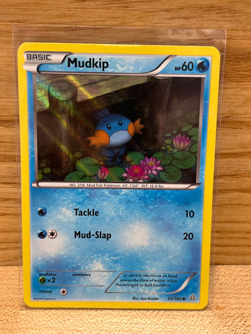 Mudkip(Holo)