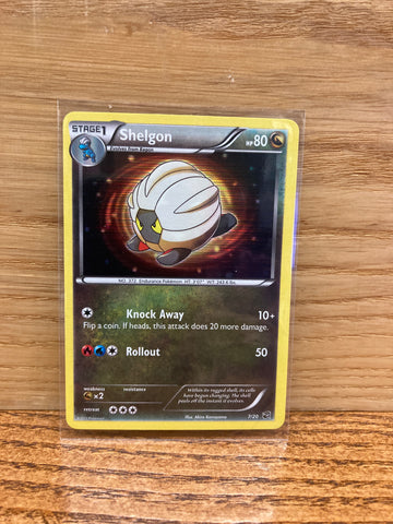 Shelgon(Holo)