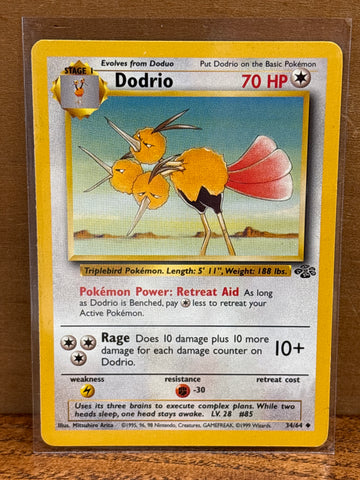 Dodrio
