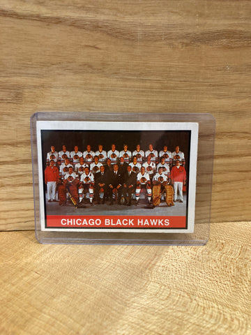 Chicago Blackhawks Team Portrait(1974) O Pee Chee #315