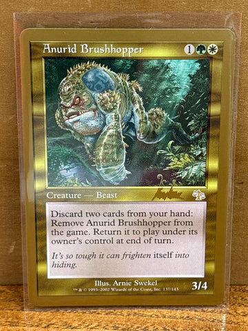 Anurid Brushhopper(Brian Kibler)