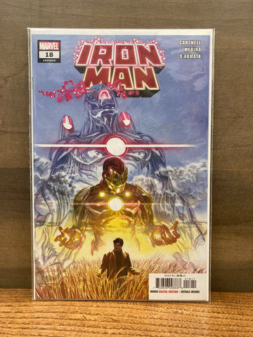 Iron Man #18