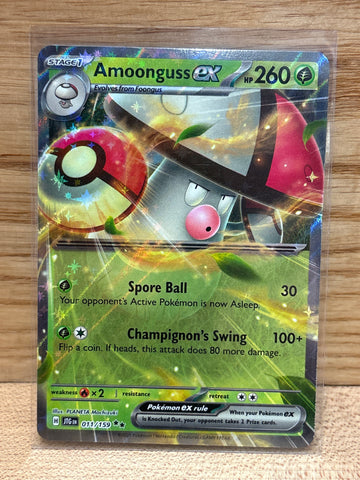 Amoongus ex