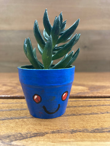 Oddish Plant(Plastic)