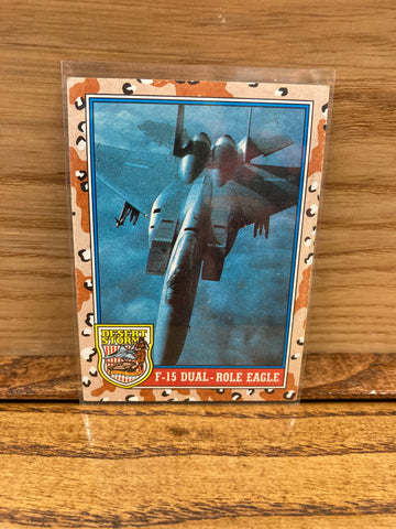 F-15 Dual Role Eagle