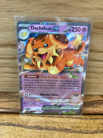 Dachsbun ex