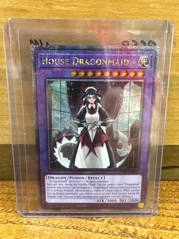 House Dragonmaid