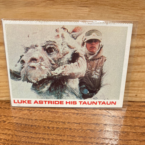 Luke Astride His Tauntaun