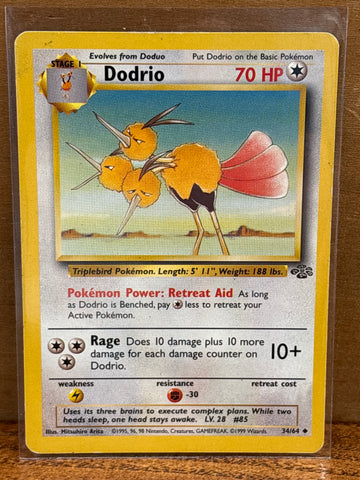 Dodrio