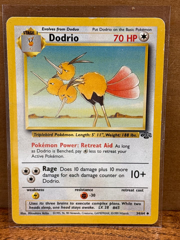 Dodrio