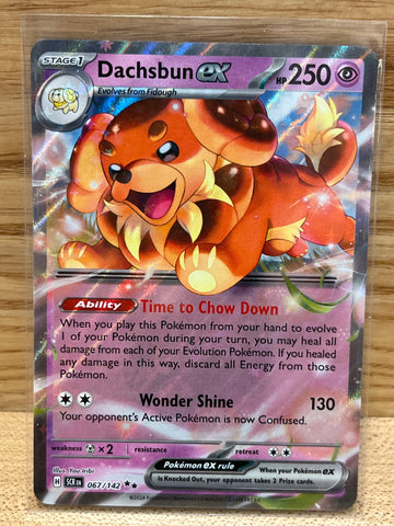 Dachsbun ex